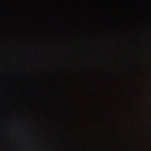 Meet your Posher, Max